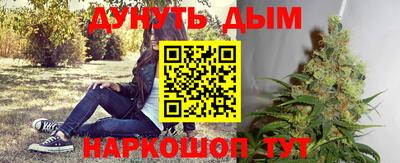 гашик Гусь-Хрустальный