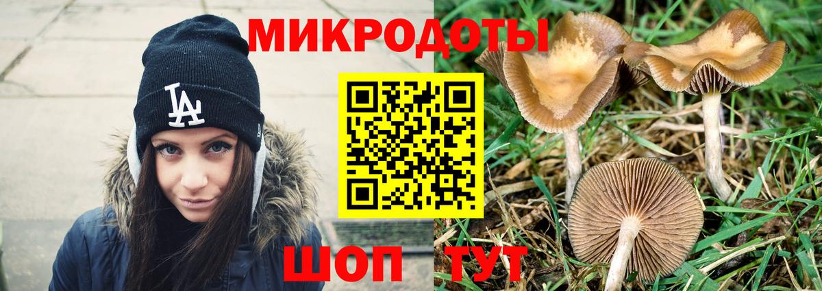 Камышин  Галлюциногенные грибы прущие грибы  Вход с VPN 