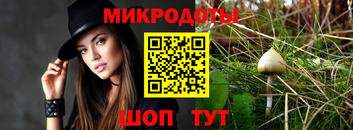 Галлюциногенные грибы GOLDEN TEACHER Камышин